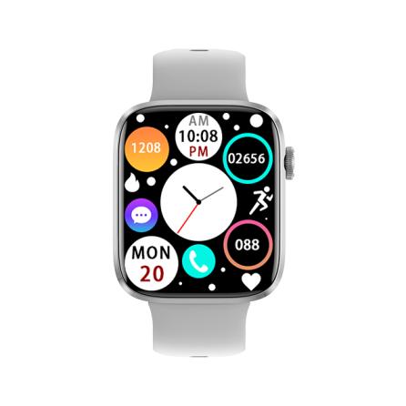 SWORD SMART WATCH SNAZZY SWC3GT PRO Gümüş